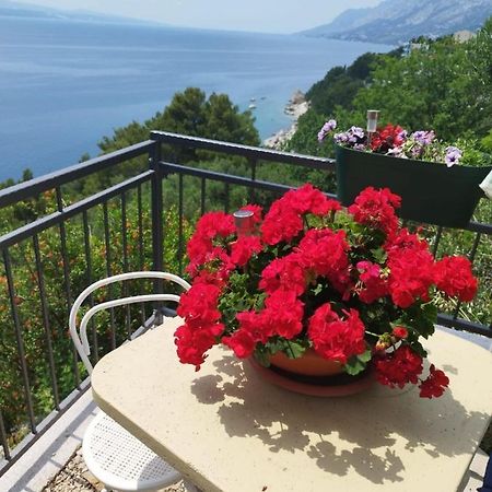Apartments Mare - 150 M From Beach Brela Buitenkant foto