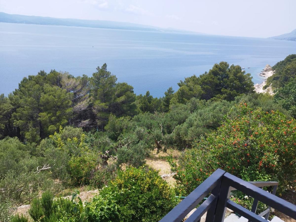 Apartments Mare - 150 M From Beach Brela Buitenkant foto