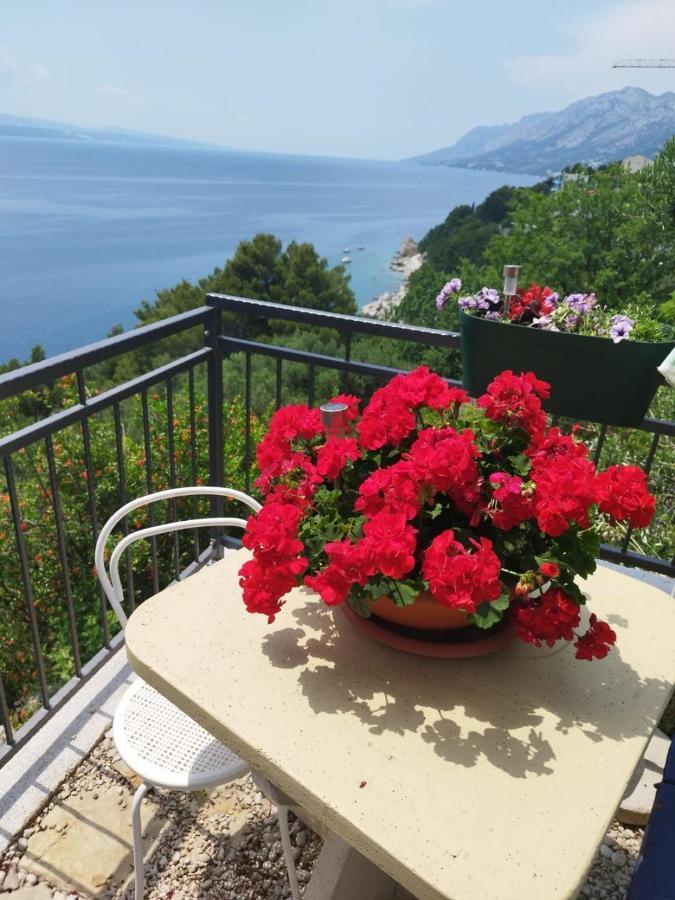 Apartments Mare - 150 M From Beach Brela Buitenkant foto